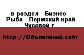  в раздел : Бизнес » Рыба . Пермский край,Чусовой г.